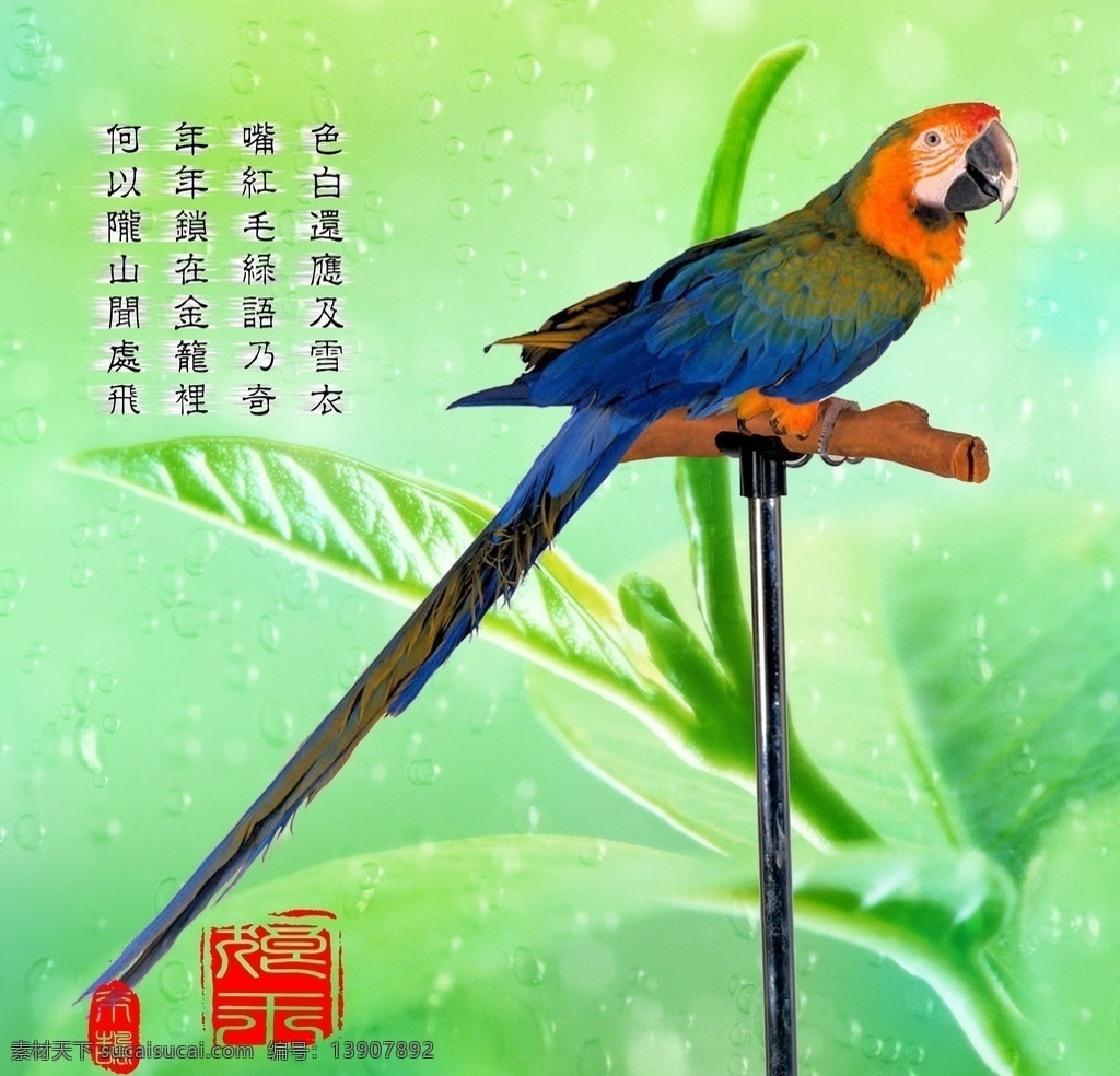鹦鹉 唐诗 分层 树叶 绿叶 绿色 来鹄 印章 鼠绘 psd素材 源文件