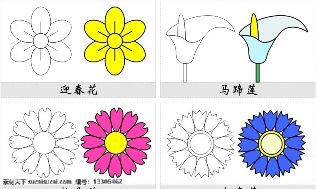 植物简笔画 儿童简笔画 儿童画 迎春花 马蹄莲 格桑花 矢车菊 矢量 简图
