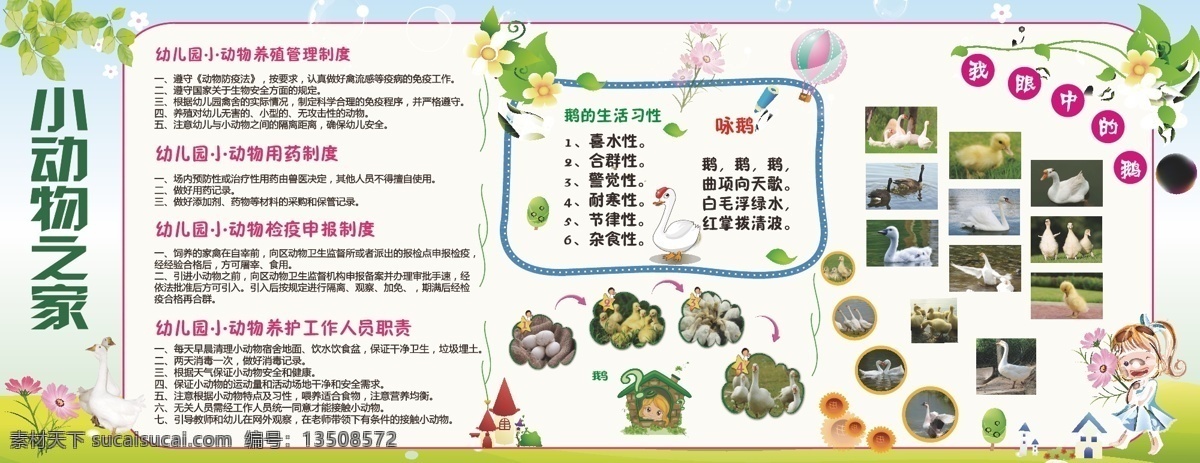 幼儿园 动物 饲养 展板 幼儿园海报 小动物 动物饲养 学校展板 幼儿图画