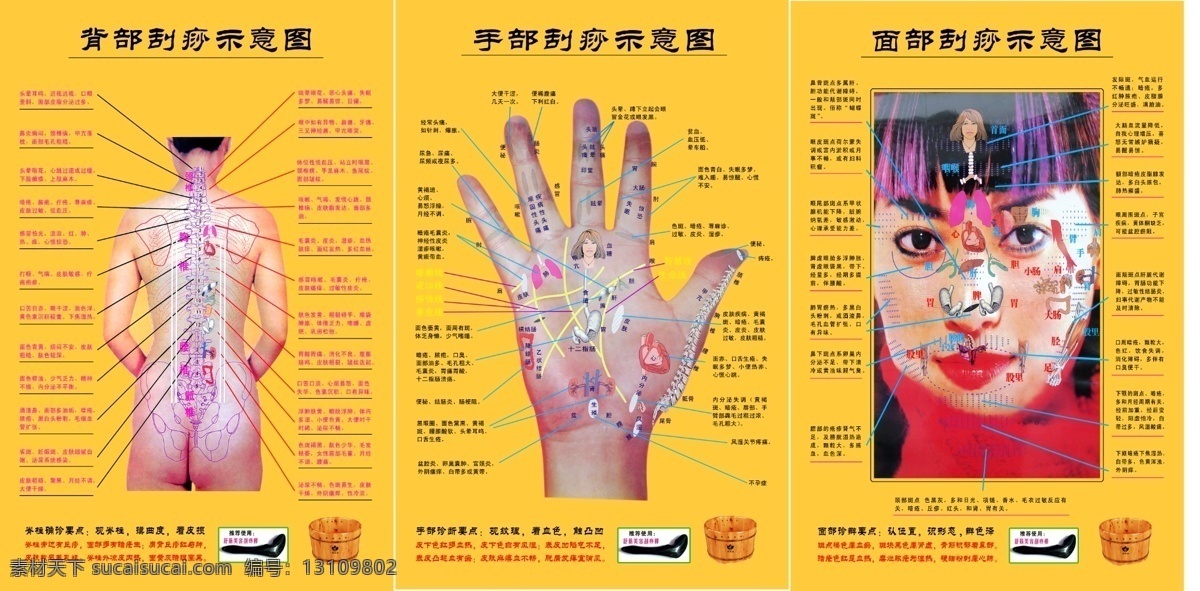 刮莎示意图 背部 手部 面部 刮 莎 示意图 分层 源文件库