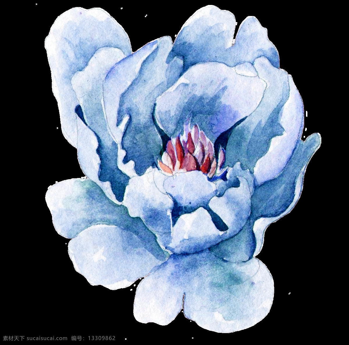 免 扣 白色 插画 花瓣 花朵 花卉 花茎 花蕊 渐变 卡通 蓝色 手账素材 手绘 鲜花 合集 棕色 植物 透明素材 装饰图案 淘宝
