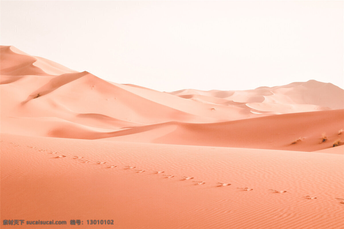 唯美 沙漠 自然风光 高清 大自然 风景 自然景观 自然风景