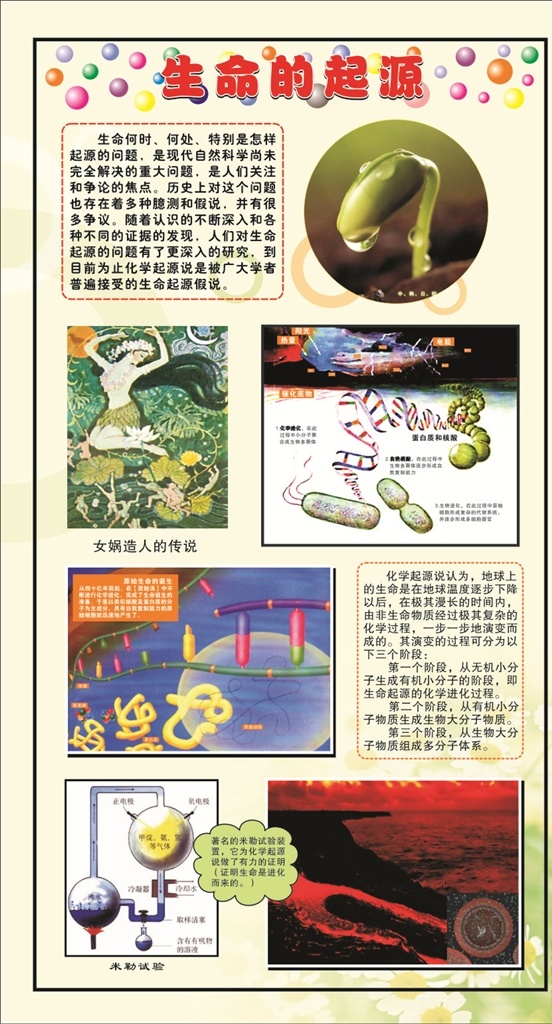 生物 展板 生命 起源 生物展板 展架 学校 中学 中学生物 校园文化 生物园 生态教室 生态园 校园知识展板 自然 动物 挂图 知识