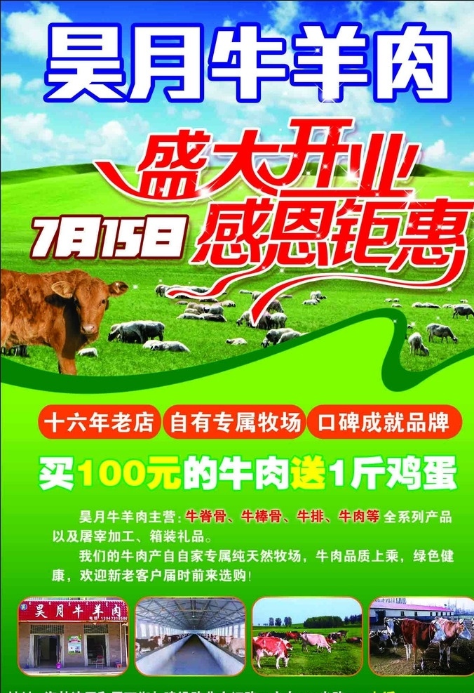 牛羊肉 盛大开业 感恩钜惠 十六年老店 专属牧场 口碑成就品牌 牛脊骨 牛棒骨 牛排 纯天然 分层