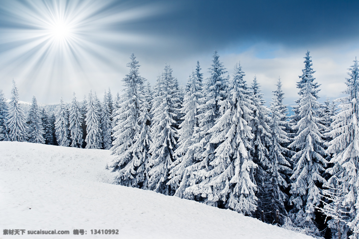 冬日 雪景 天空 蓝天 白云 生态环境 自然风景 自然景观 冬日雪景 雪山风景 阳光 积雪 冬日树林 雪景图片 风景图片