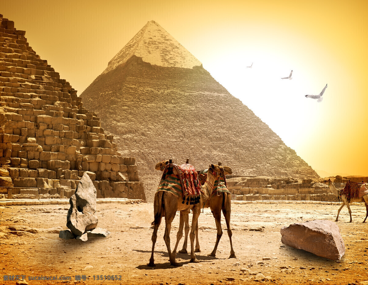 人文埃及 埃及 古迹 古老文明 世界奇迹 法老金字塔 古埃及风景 古埃及 欧洲遗迹 石头山 石头 自然景观 风景名胜 欧洲古迹 欧式 欧洲 旅游 建筑景观 狮身人面 狮身人面像 背景 旅游摄影 国外旅游