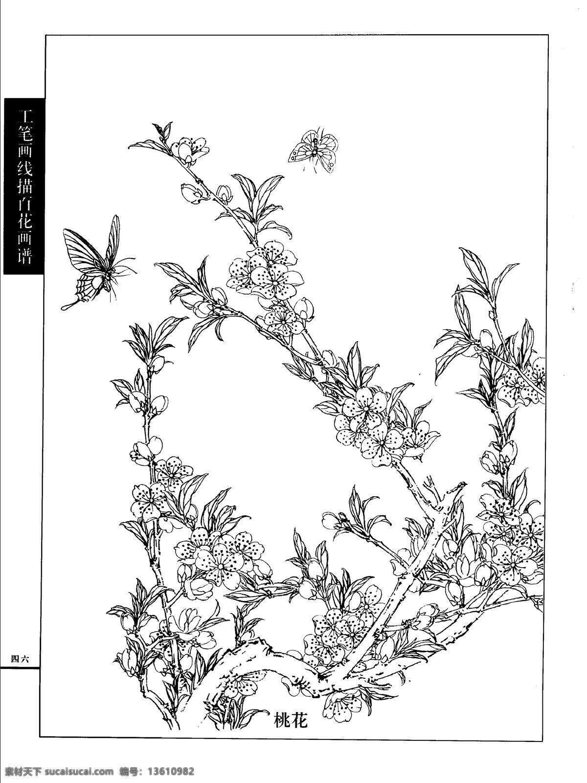 工笔画 线描 百花 画谱 桃花 白描 国画 唯美 工笔 花鸟 图谱 绘画书法 文化艺术