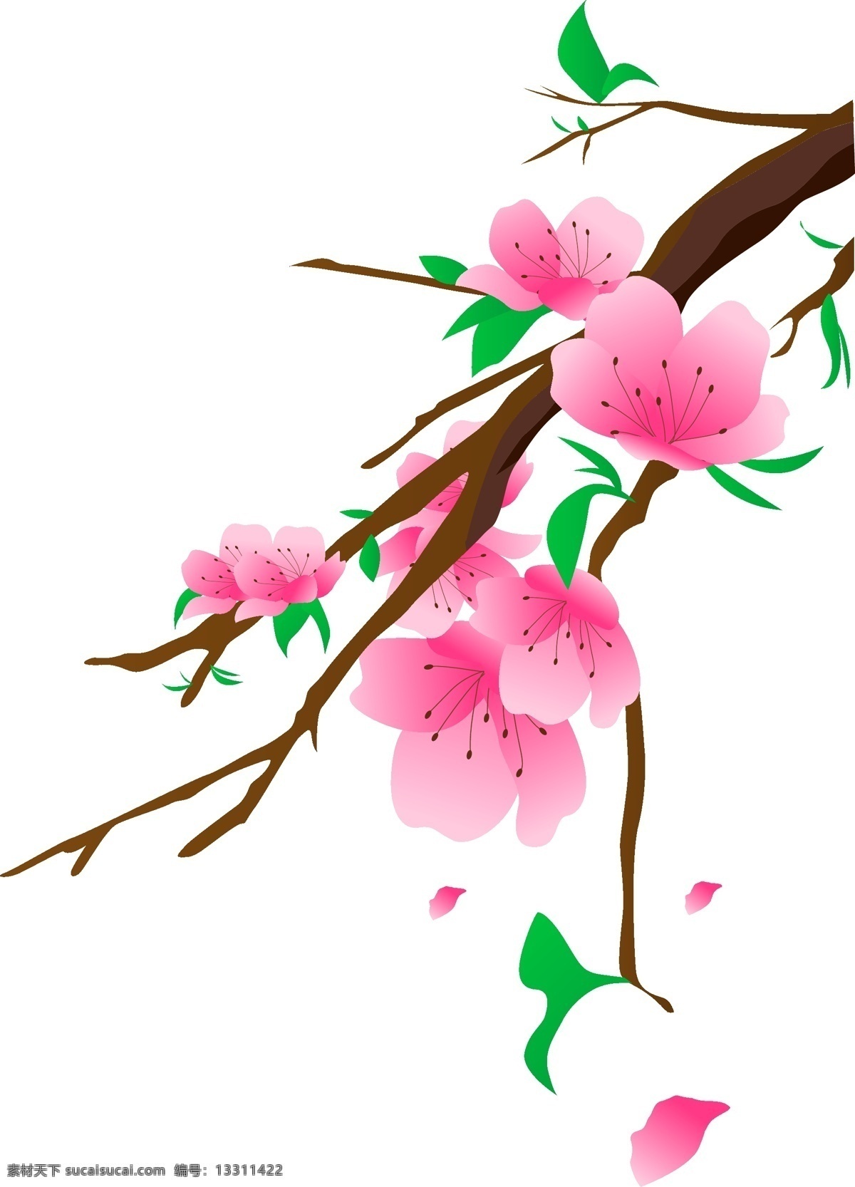 矢量 免 扣 卡通 玉兰花 油画 挂画 工笔画 国画 背景 花卉 玉兰 兰花 水墨 鲜花 花瓣飘落 玉兰花背景 小清新 玉兰背景 装饰画