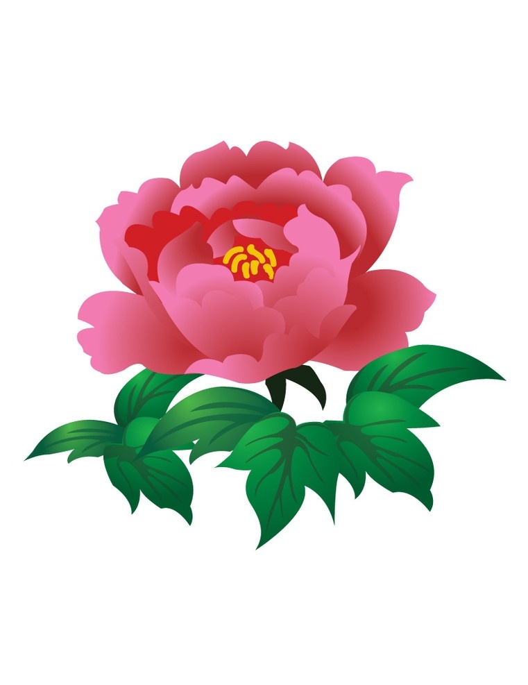 富贵牡丹 富贵牡丹花 红花 绿叶 矢量 牡丹 富贵 花朵 节日庆祝 文化艺术