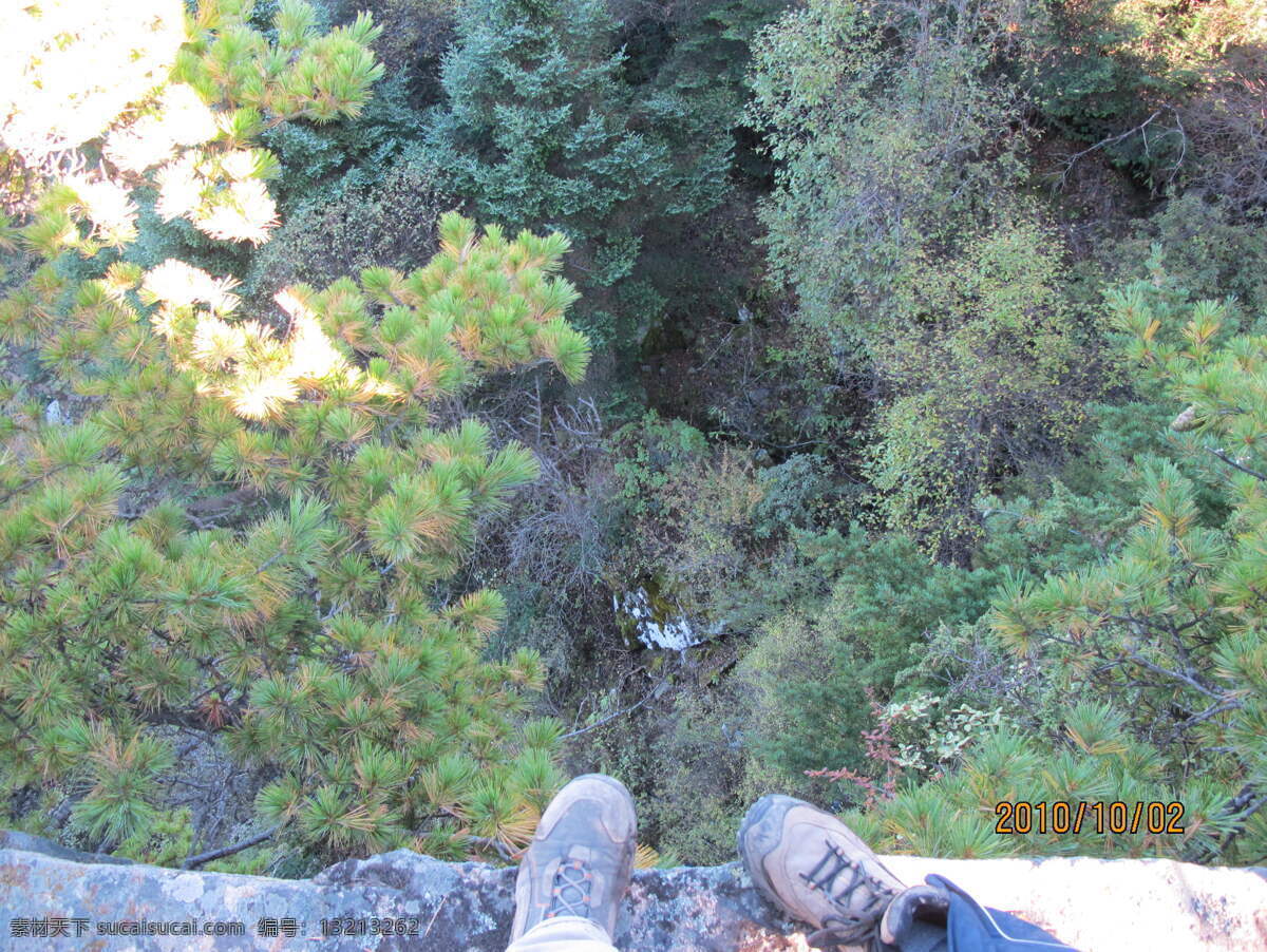 树林 素材图片 树木 植物 自然风光 景观 景区 太白山 休闲旅游 风景名胜 风景图片