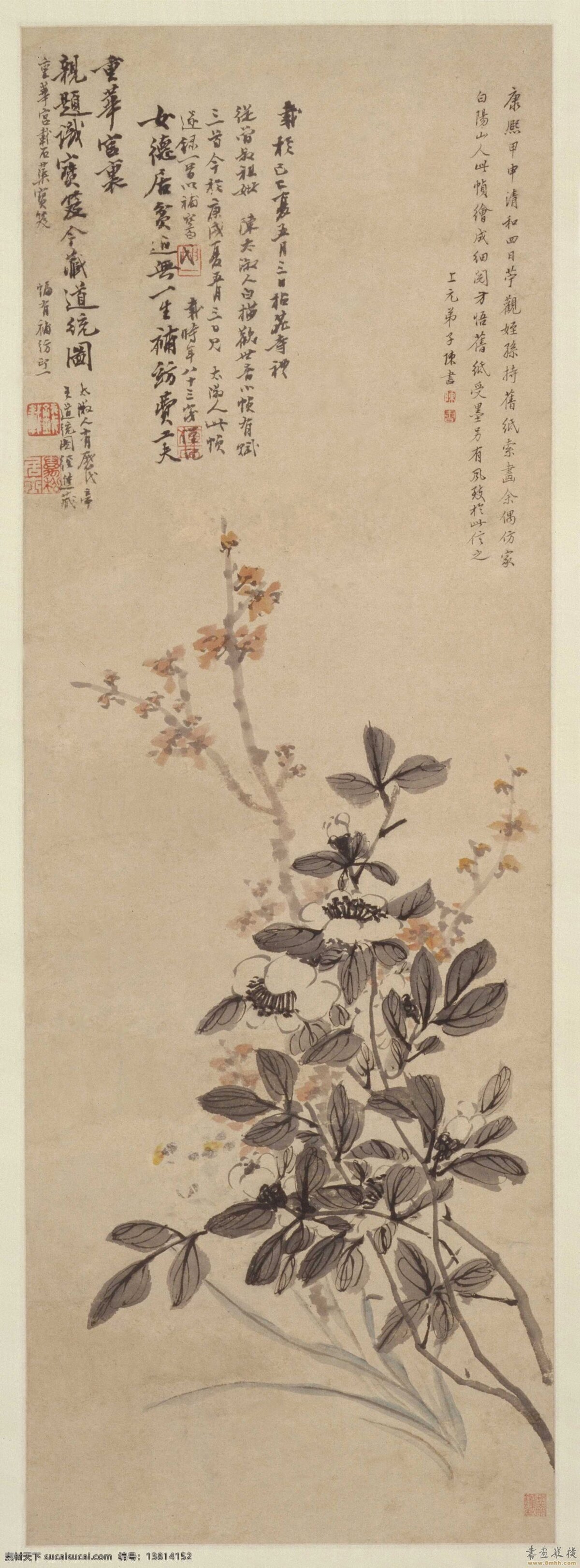 花卉图轴 陈书 清免费下载 清代女画家 南楼老人 擅花鸟草虫 笔力遒劲 风神简古 机趣天然 文化艺术