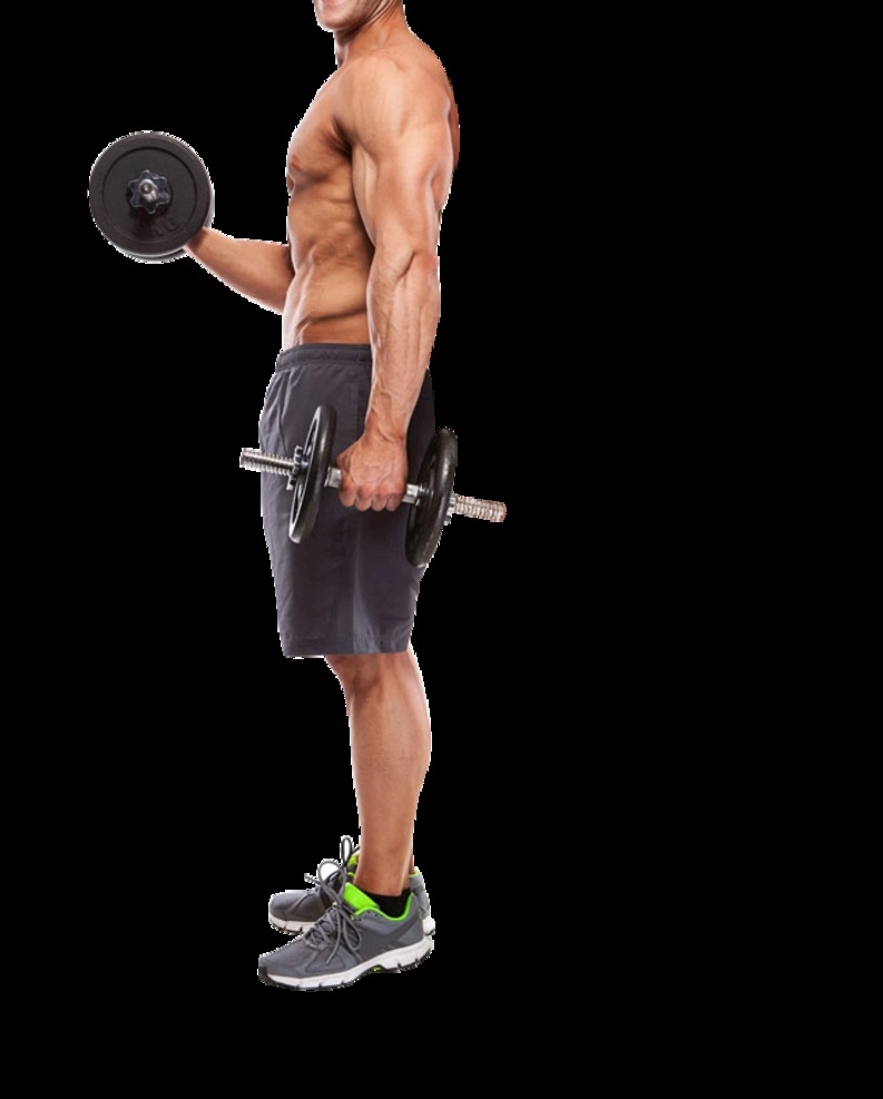 哑铃 健身 健身素材 健身的图片 肌肉男 肌肉健身 健身肌肉 健身肌肉素材 肌肉素材图 png图片 png图