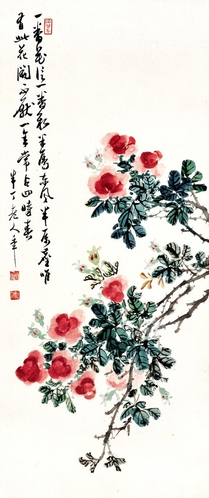 月季 美术 绘画 国画 水墨画 彩墨画 月季花 叶子 盛开 国画艺术 国画集47 绘画书法 文化艺术
