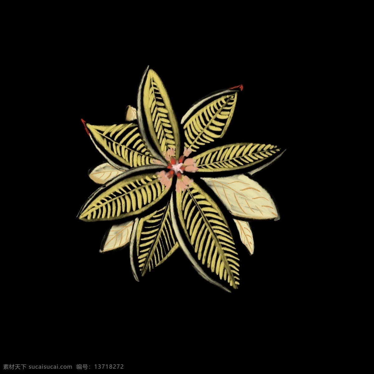简约 花朵 写实 鲜花 绘画 清新简约 插画 手绘 小清新 新鲜花朵 传统装饰 唯美意境 清新自然 海报 透明 简单简约