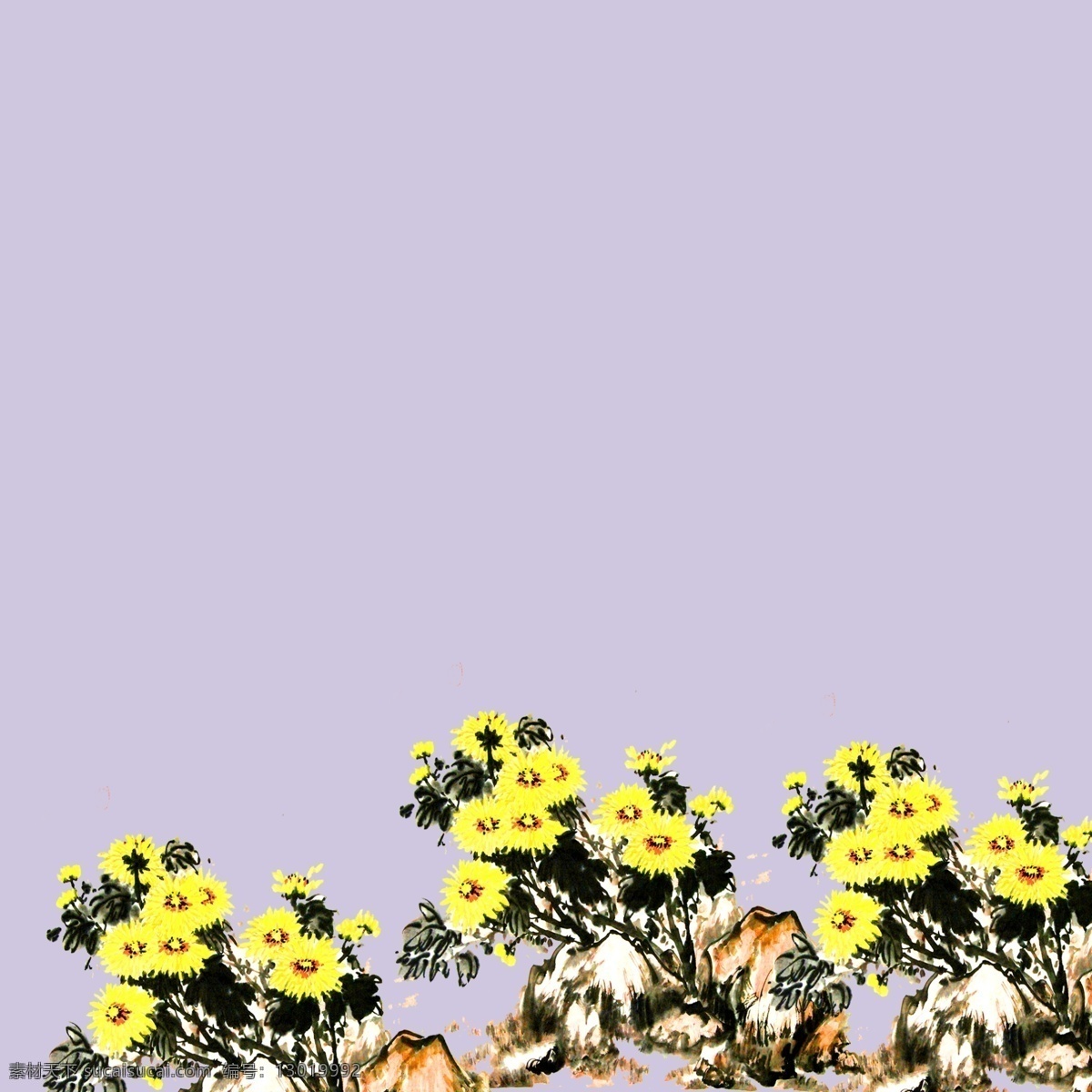 水墨菊花插画 菊花 水墨画 水墨菊花 重阳 重阳节