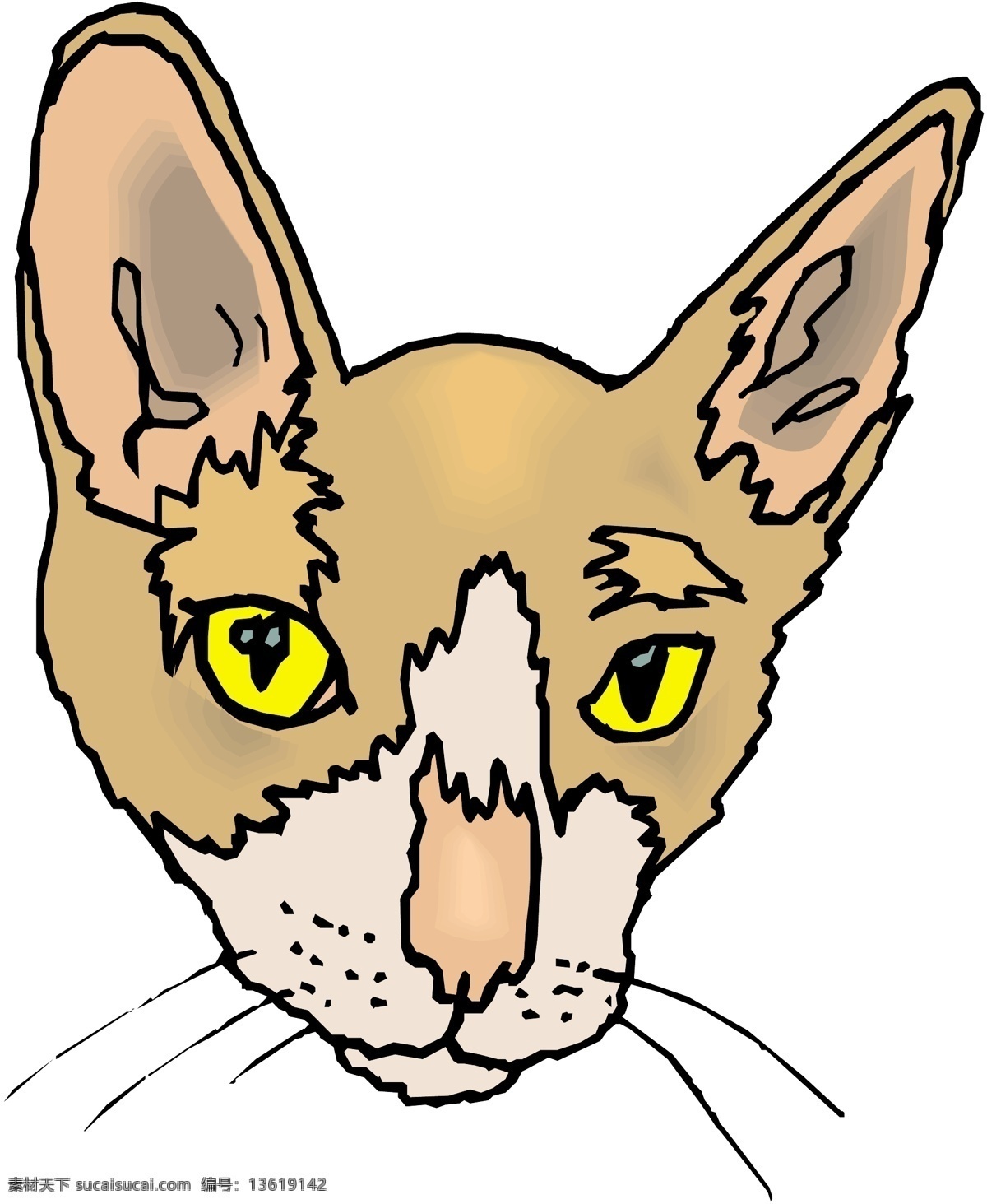 宠物猫 矢量素材 格式 eps格式 设计素材 宠物世界 矢量动物 矢量图库 白色