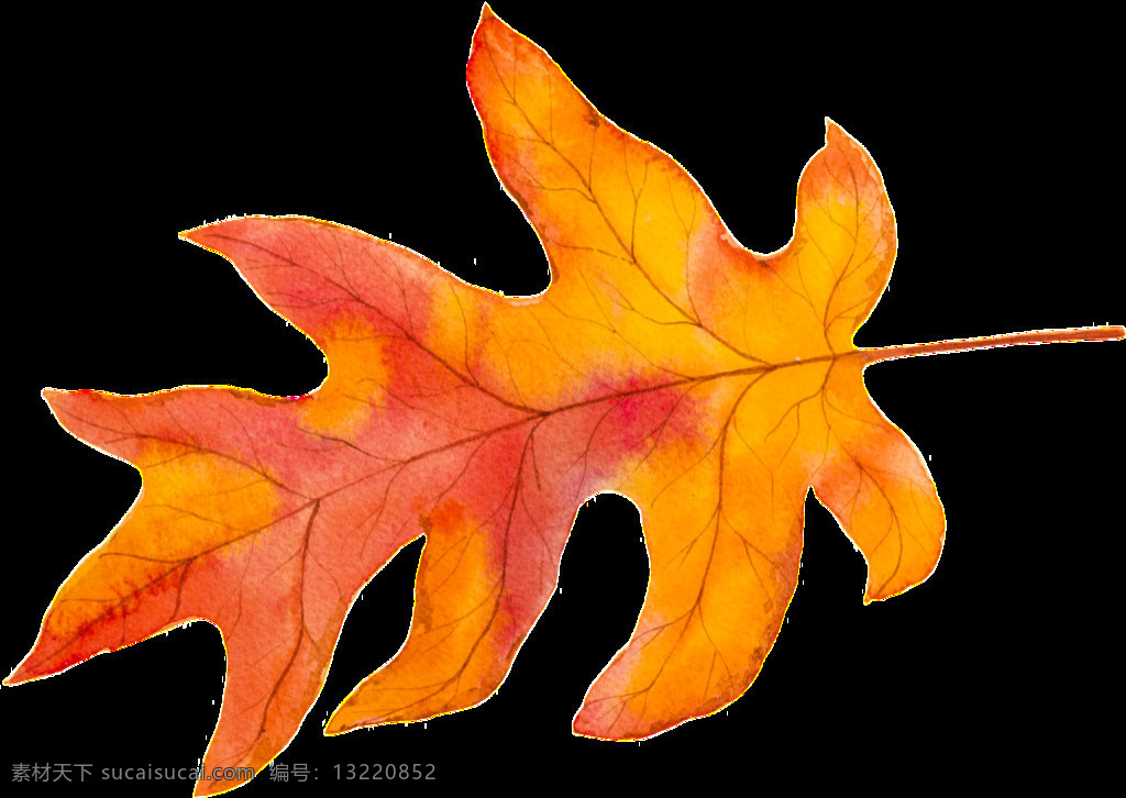 片 黄色 秋季 树叶 矢量 橙色 落叶 平面素材 设计素材 矢量素材 叶子 植物