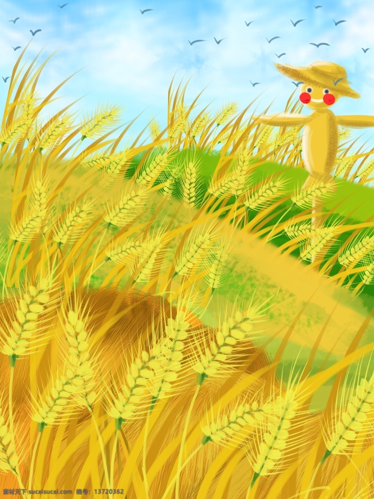 二十四节气 小满 麦穗 插画 背景 麦穗插画背景 广告背景 背景素材 植物背景 psd背景