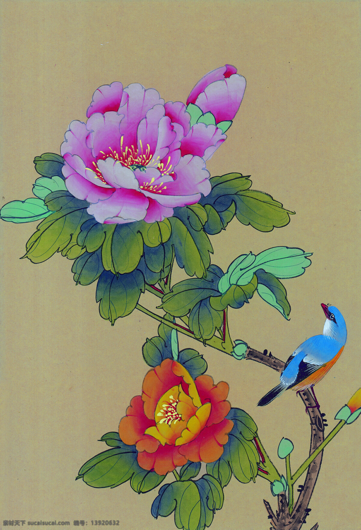 花鸟 牡丹 风景 工笔 花卉 美术 文化艺术 装饰画 装饰素材 室内装饰用图