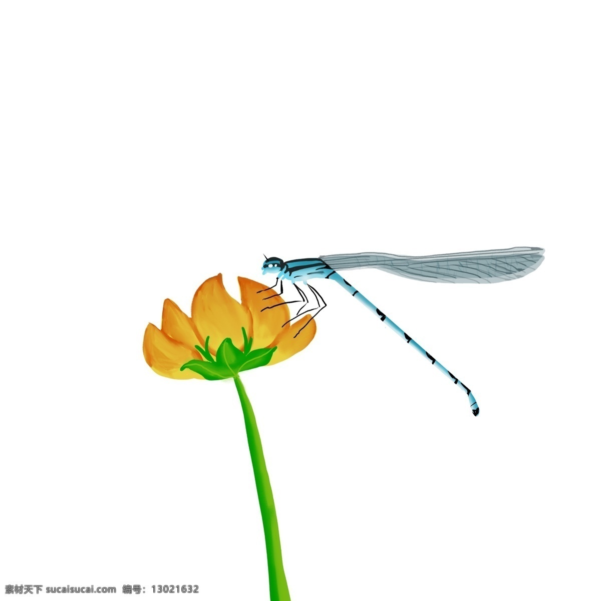 原创 手绘 正在 吃 花蜜 蜻蜓 夏日 昆虫