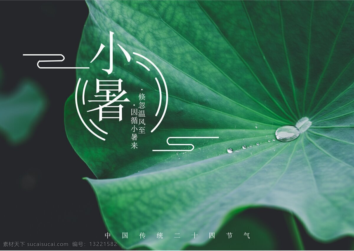 二十四节气 小暑 海报 季节 展板 小清新 夏天
