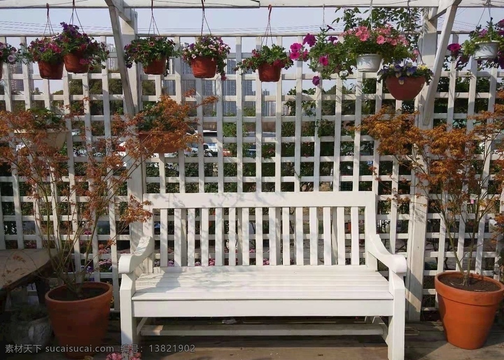 花园 椅子 木椅 长椅 夏天 自然景观