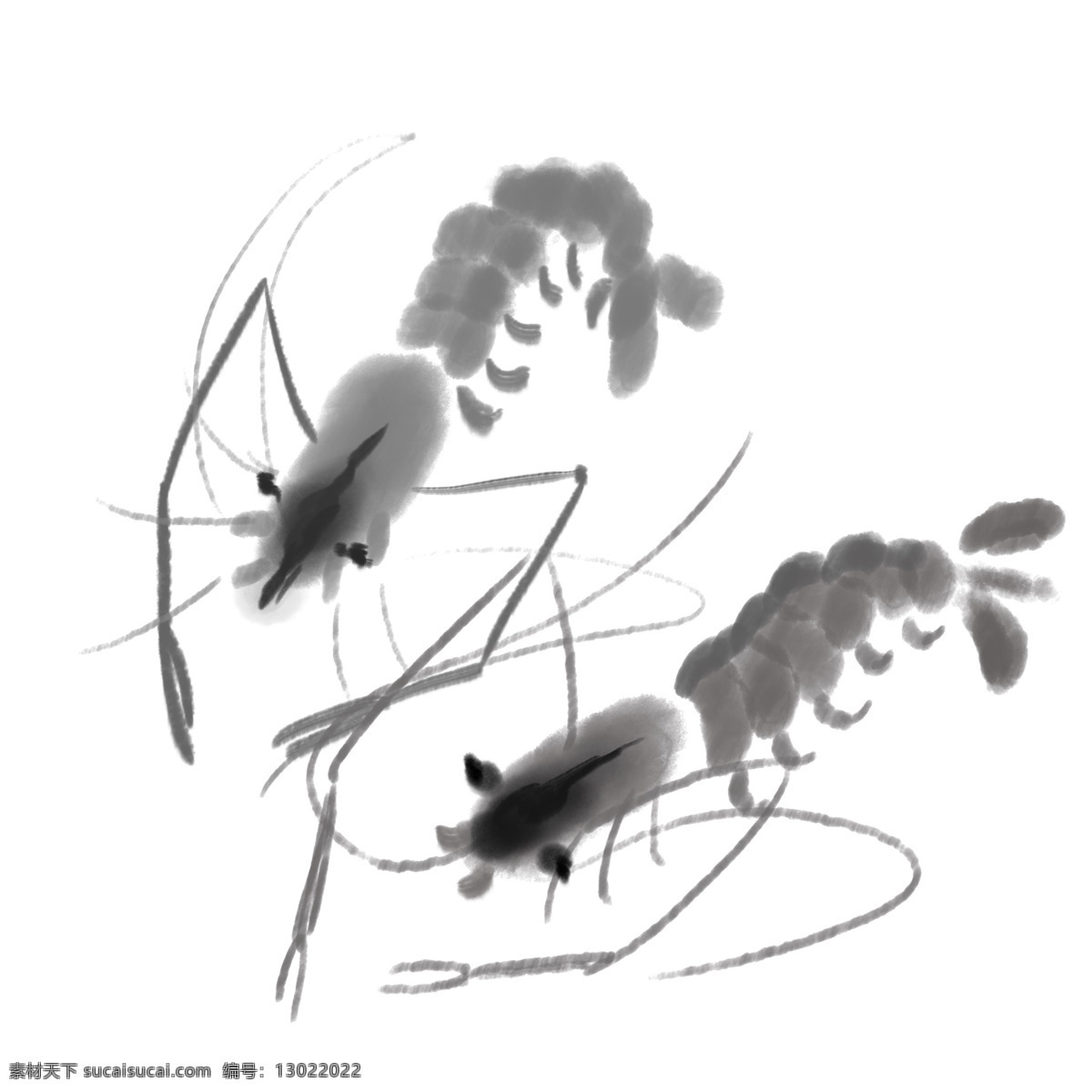 水墨画皮皮虾 黑色水墨 皮皮虾 水墨画