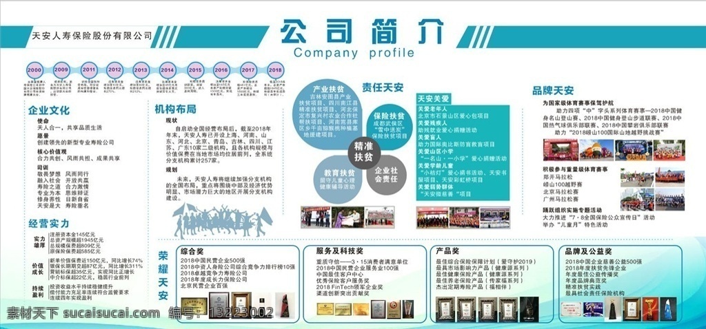 人寿展板 人寿 保险 公司 简介 展板