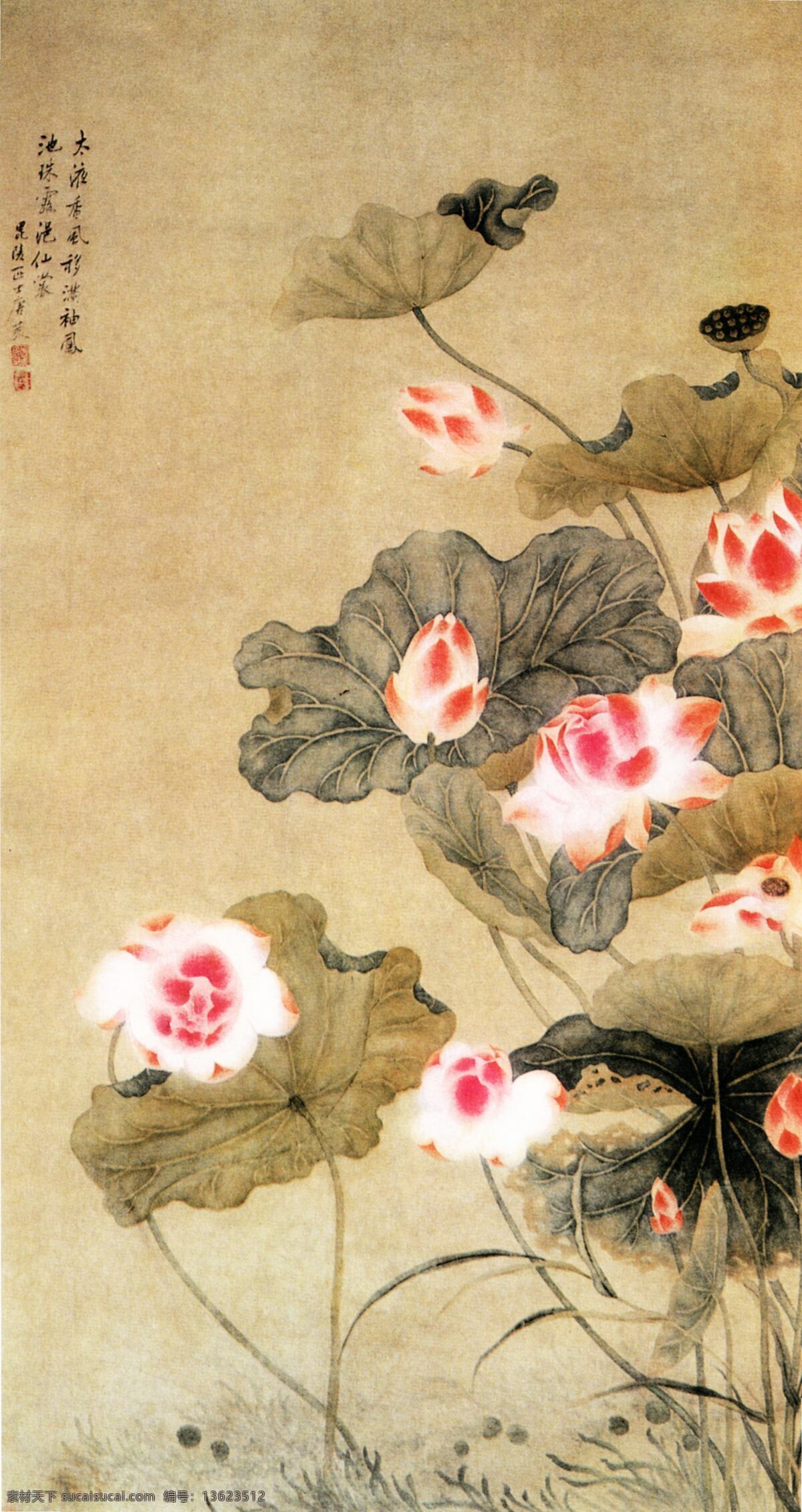 荷花 古画 国画 荷叶 中国画 家居装饰素材 山水风景画
