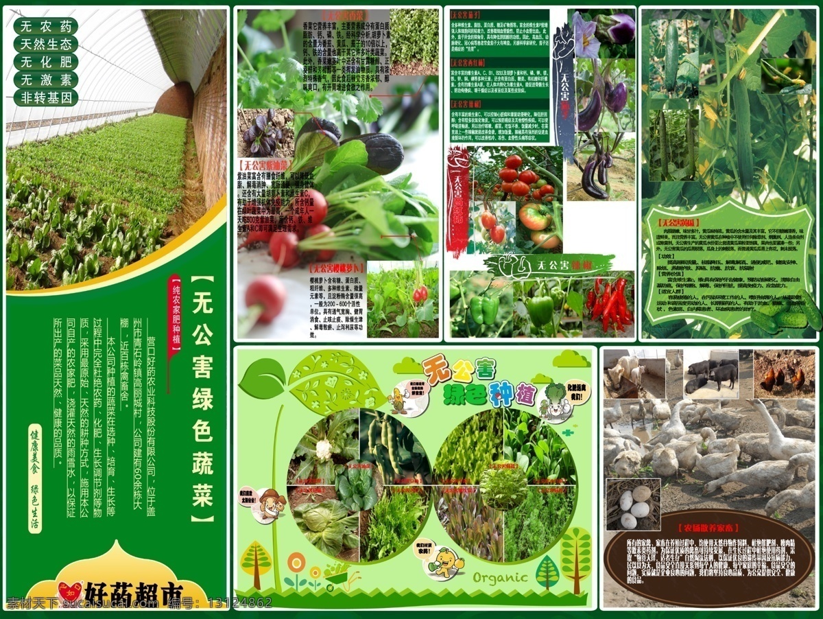 无公害 蔬菜 简介 psd分层 大棚 高分辨率 公司 精细分层 绿色 推广 宣传 有机 蔬菜简介 折页 蔬菜种植 大鹅 无污染 原创设计 原创海报