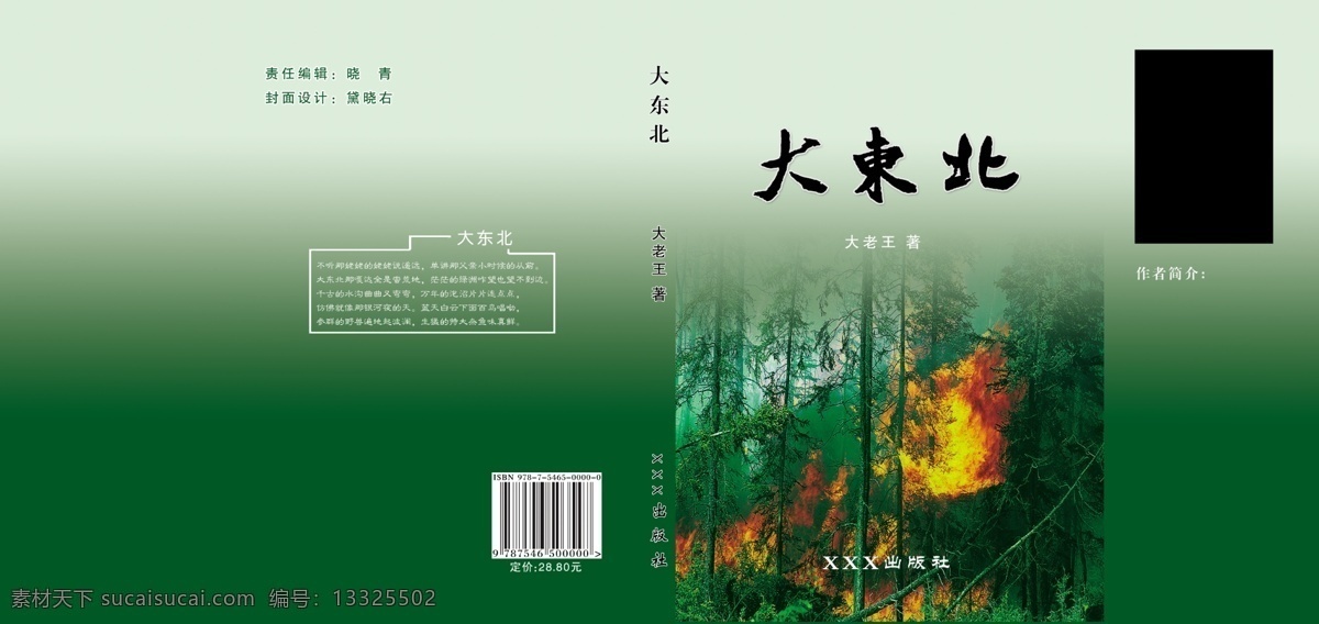 大东北 东北 绿色 森林 着火 失火 火灾 封面 树 绿树 包装设计 广告设计模板 源文件