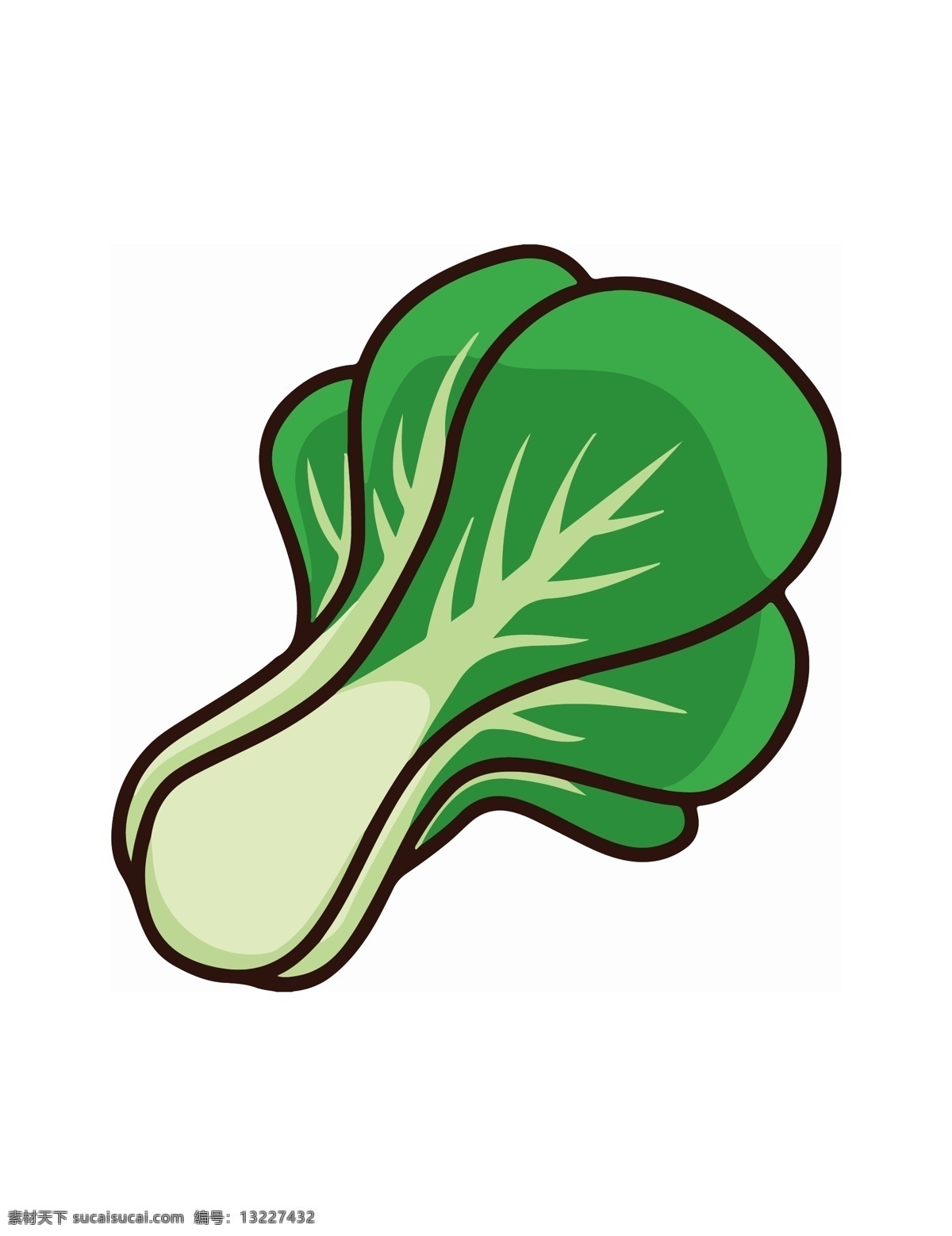 卡通 插画 健康 蔬菜 素材图片