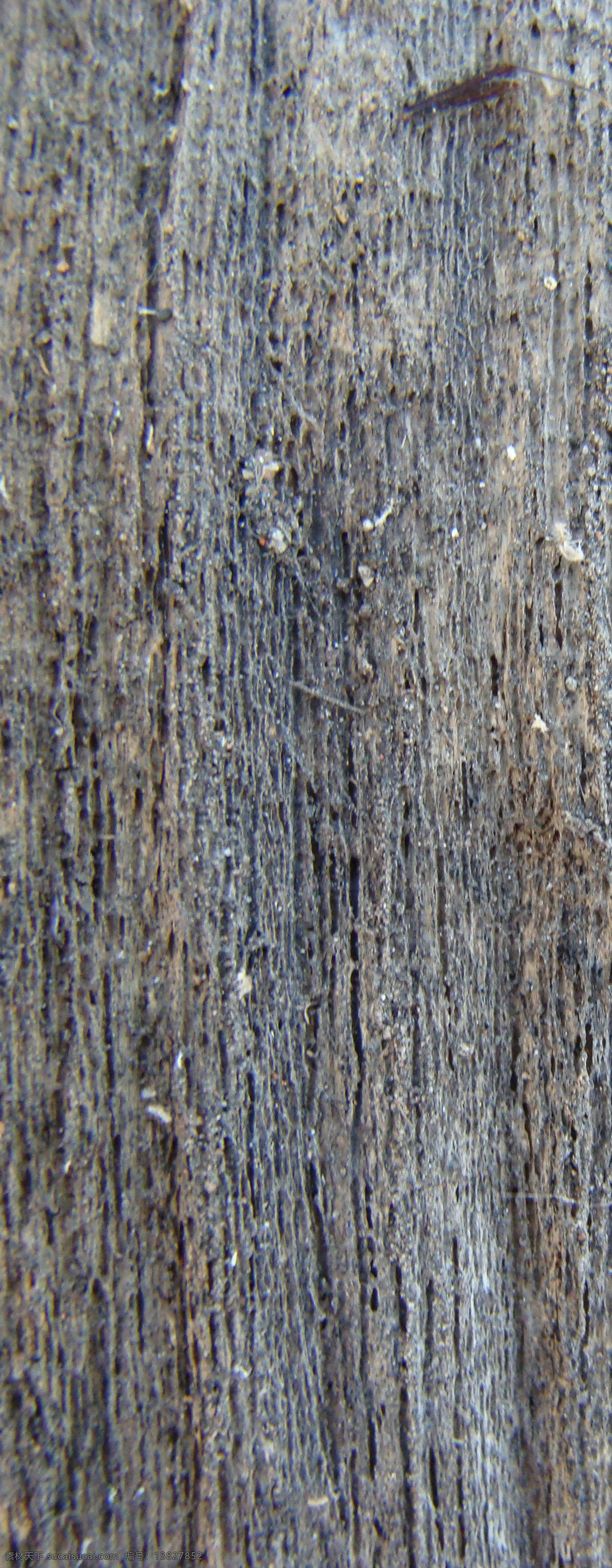 高 分辨率 木材 纹理 包 背景 创意 高分辨率 黑暗 免费 清洁 时尚的 现代的 独特的 原始的 设计新的 hd 木制的 树皮 墙体板 psd源文件