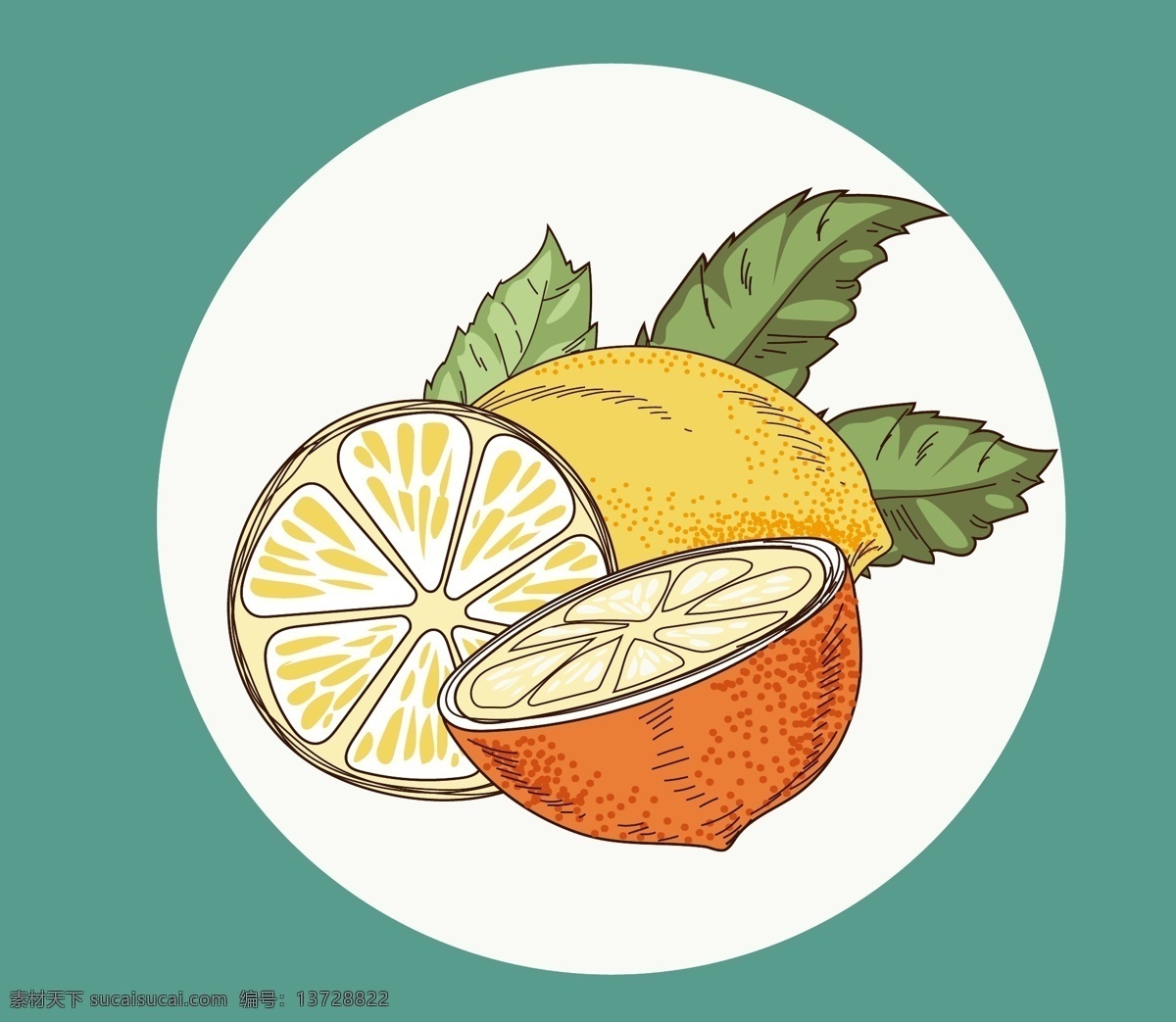 手绘柠檬 柠檬 手绘 插画 柠檬包装 果汁包装 线描 素描 元素