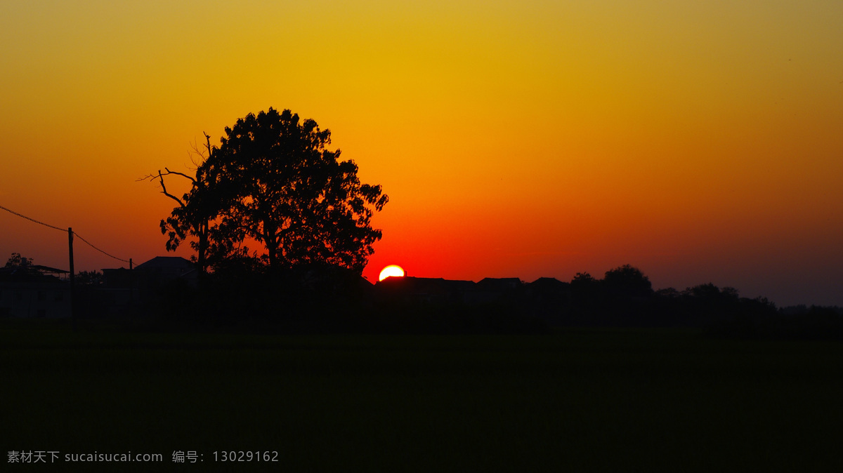 夕阳西下 傍晚 风光摄影 剪影 树影 唯美 夕阳 西下 自然风景 自然景观 psd源文件