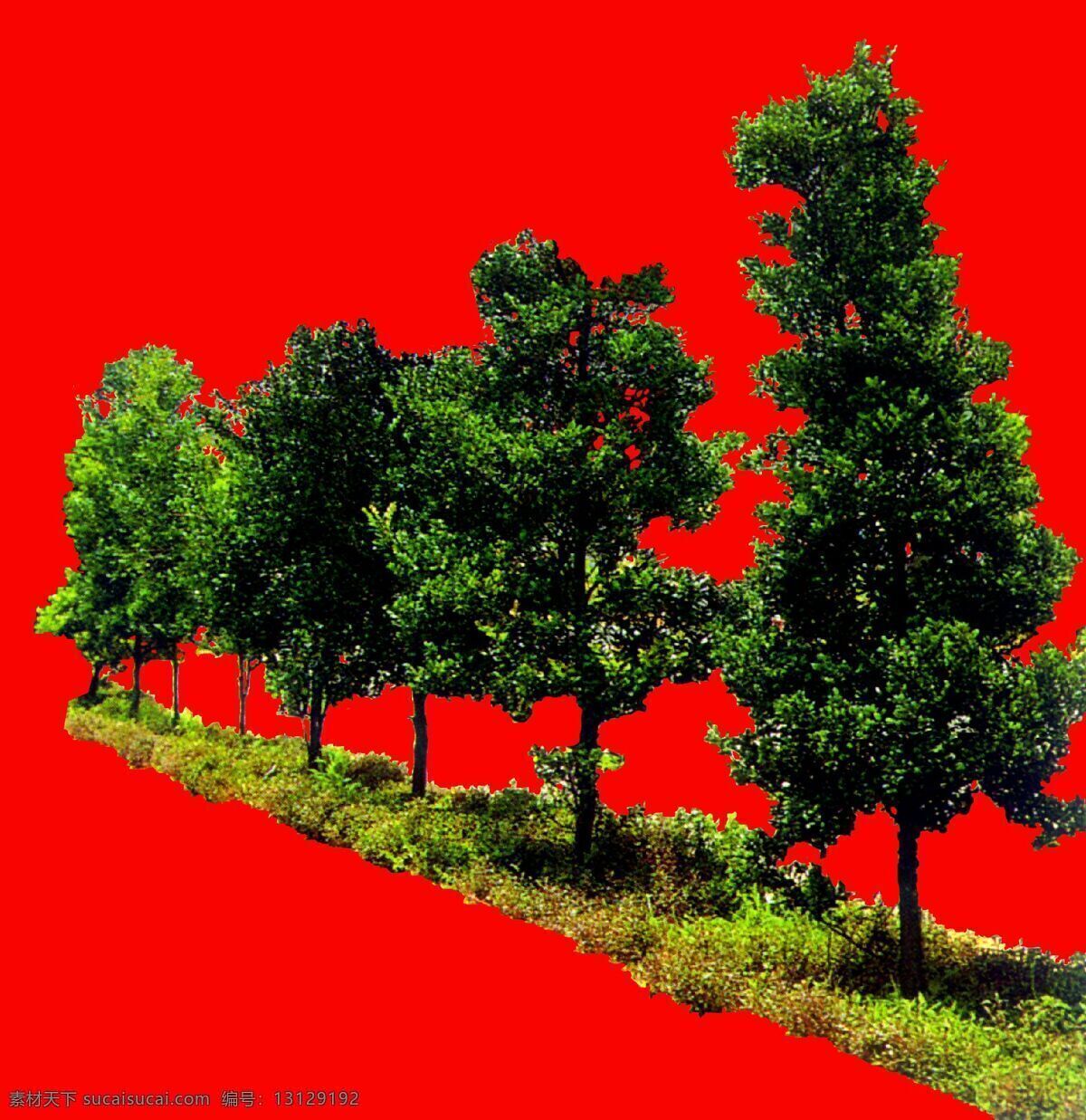 树丛 贴图素材 建筑装饰 设计素材 植物 红色