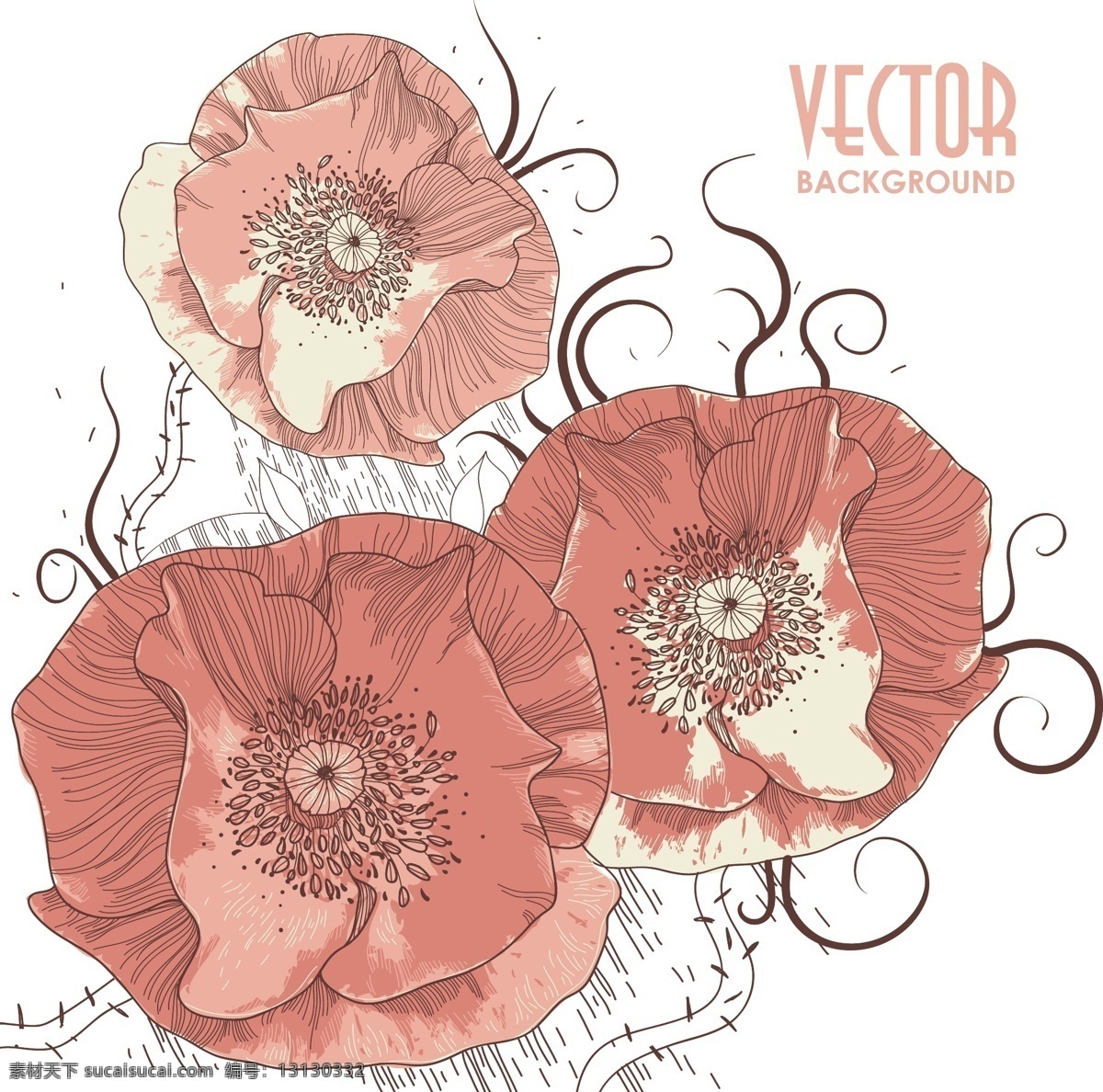 花朵 彩绘 线 稿 花朵线稿 线描花卉 线条 淡雅手绘 矢量图 其他矢量图