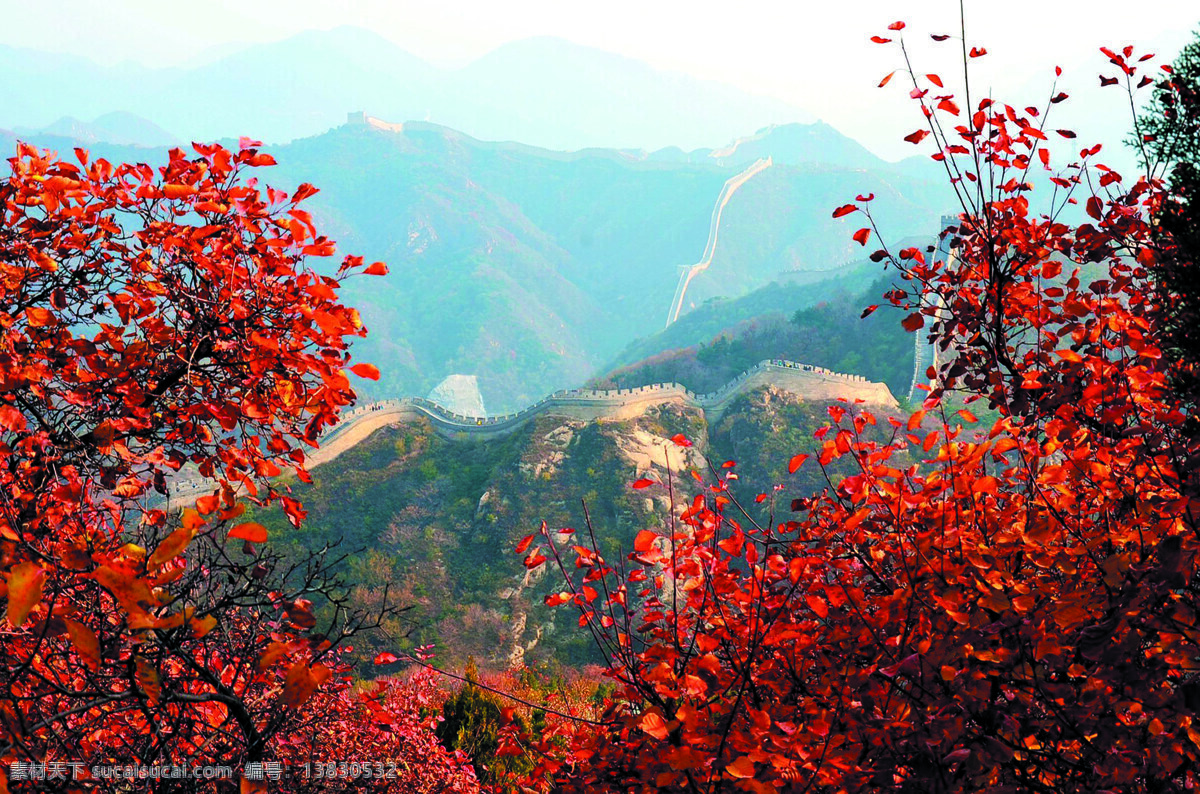 长城秋色 风景 红叶 红树 树木 秋林 长城 山岭 秋天 金秋红叶 旅游摄影 国内旅游