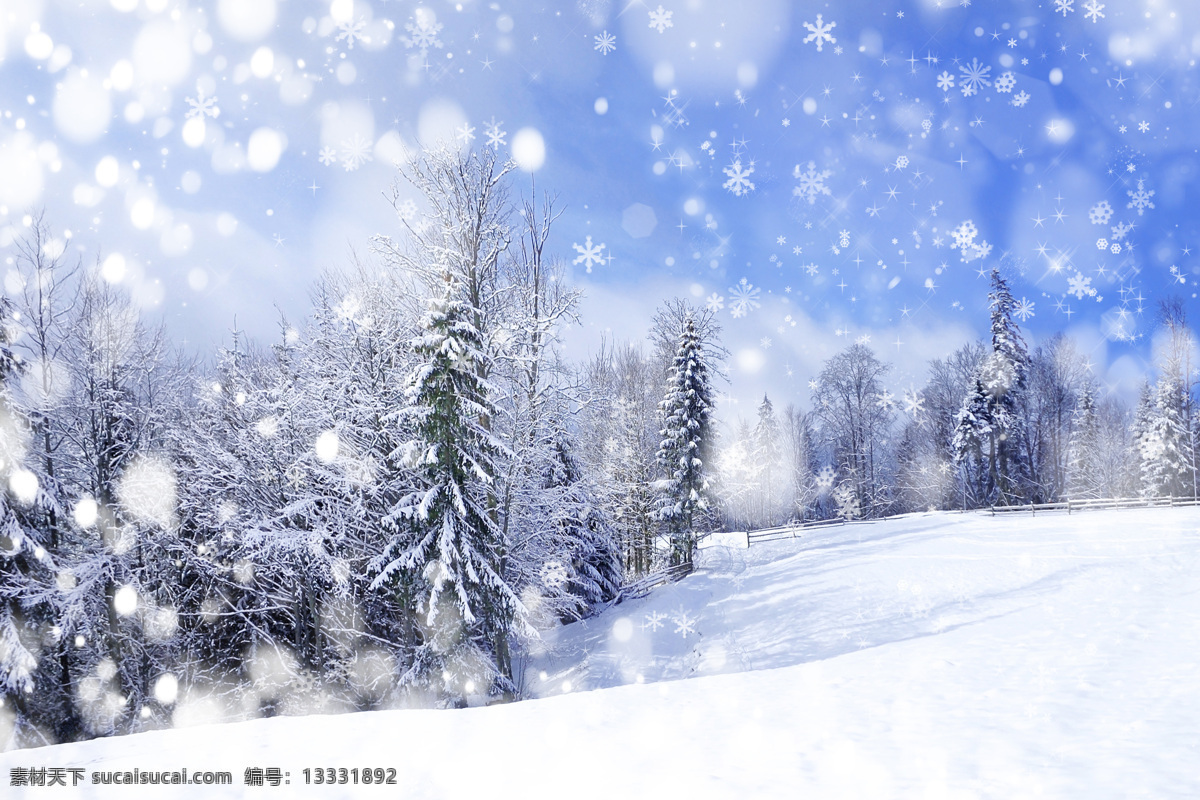 冬季 美丽 雪景 高清 冬天 光斑 雪地 雪花 树挂 雾凇 背景图片