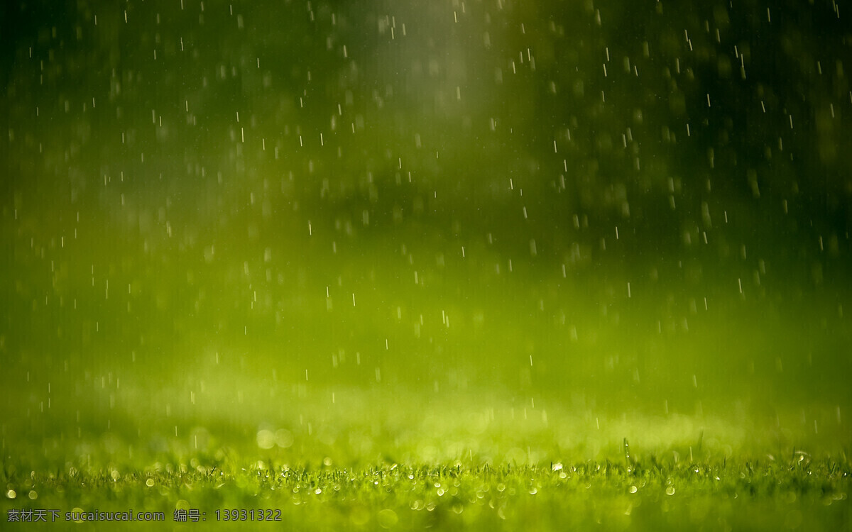 雨晕 雨点 下雨 天气 天气预报 透明 水 荡漾 色彩 圆晕 高清 壁纸 夏天 rain 地上 草地 绿色 生命 生呼吸 环保 植物 关爱 阳光 太阳雨 自然景观