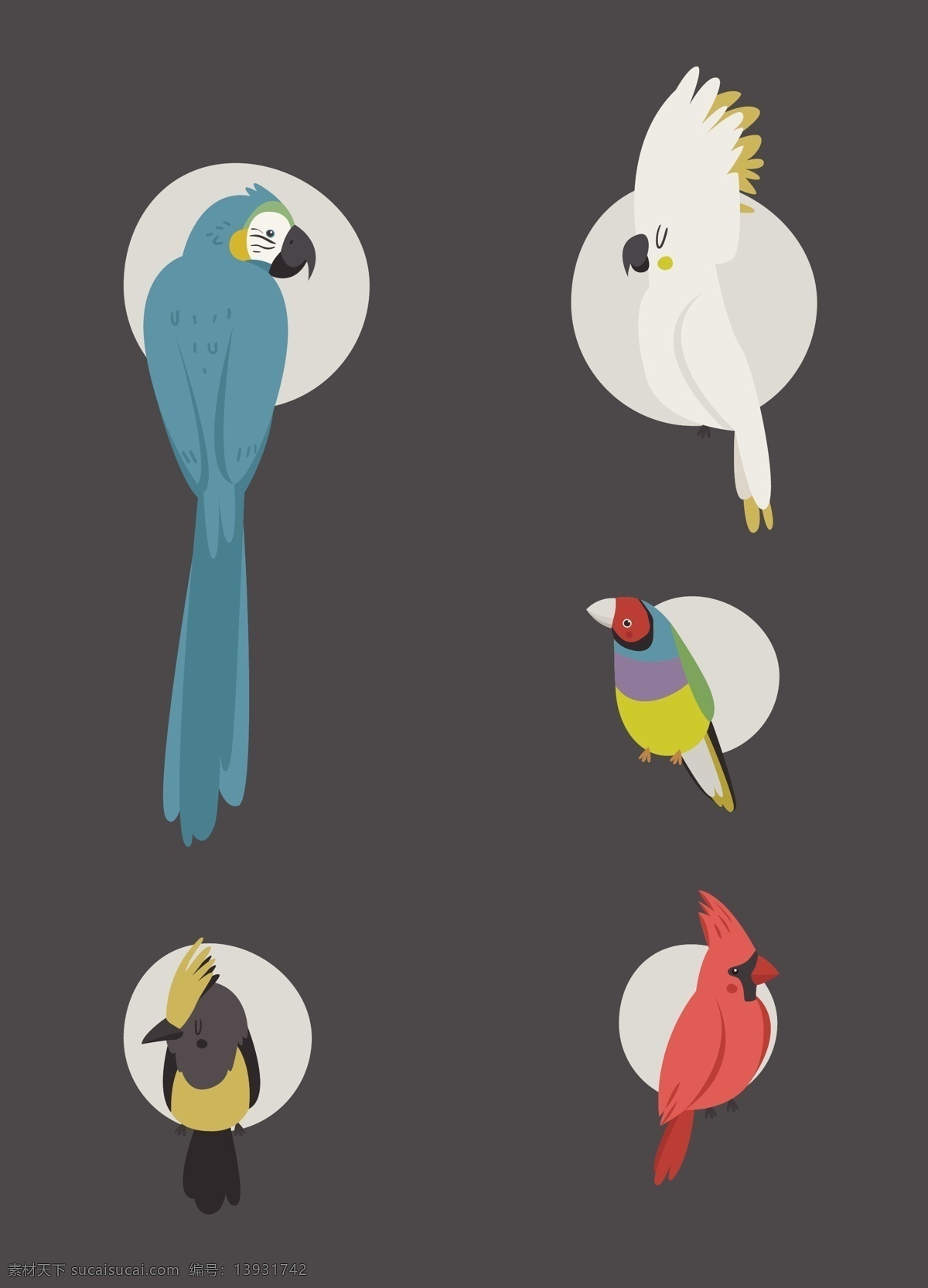 可爱 扁平 小鸟 插画 动物 卡通 鹦鹉