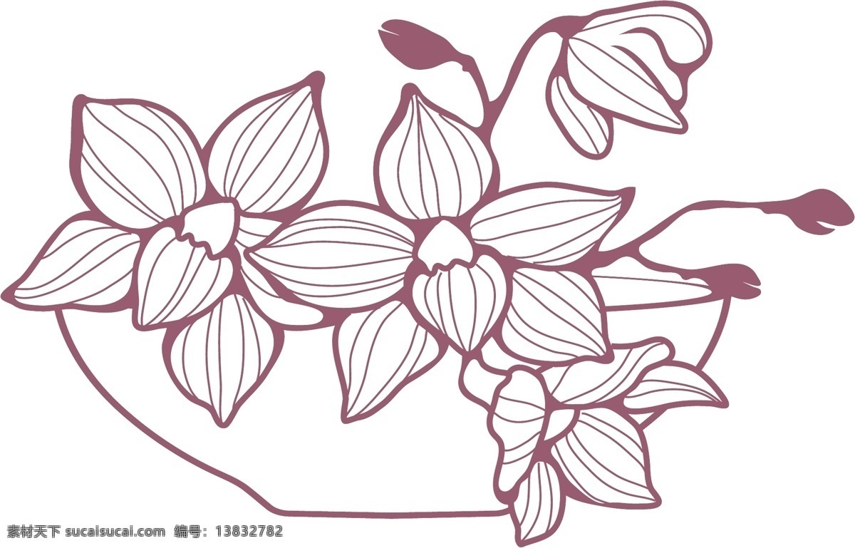 紫色 石斛 蘭 植物 蘭花 單色 矢量图 花纹花边