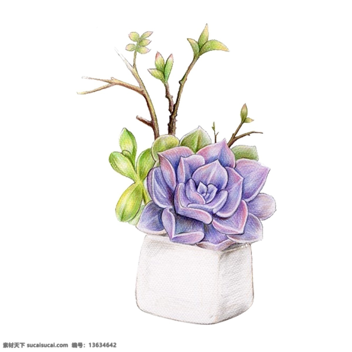 绘画多肉 清新 手绘 水彩 多肉 植物 文艺 花草 唯美 ins 花朵 花艺 盆栽 微缩 景观 迷你 复古 流行 时尚 美丽 漂亮 可爱 花瓣 红色 粉红 粉色 少女 蓝色 绿色 自然 天然 生物 紫色 荷花 开花 配图 水粉 油画 彩绘 绘画 化妆 护肤 保养 爱护 装饰 动漫动画 gif动画