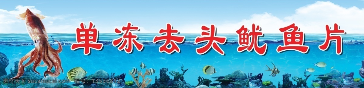 单 冻 去 头 鱿鱼片 海底 海洋 蓝天 鱿鱼片包装箱 psd源文件