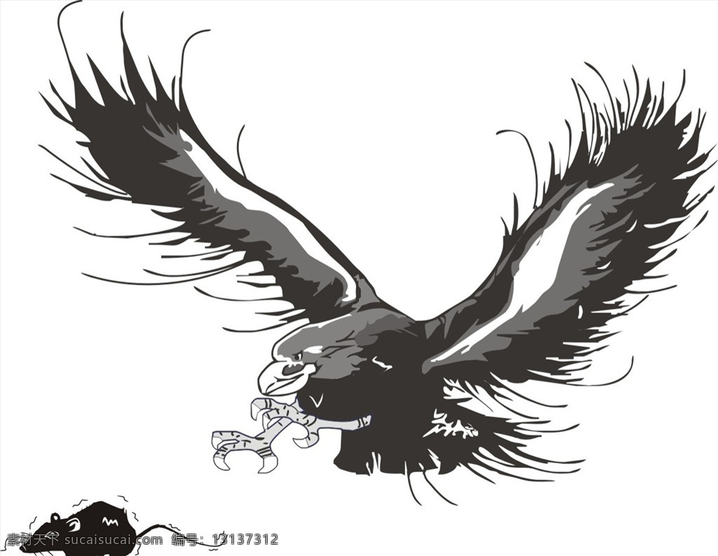 雄鹰抓鼠 雄鹰 鼠 鹰 老鼠 飞翔 生物世界 野生动物