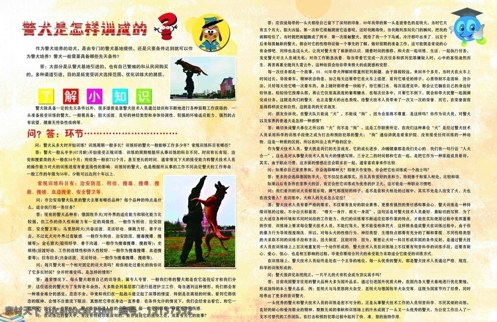 汪星人 狗 警犬 介绍 知识 画册设计