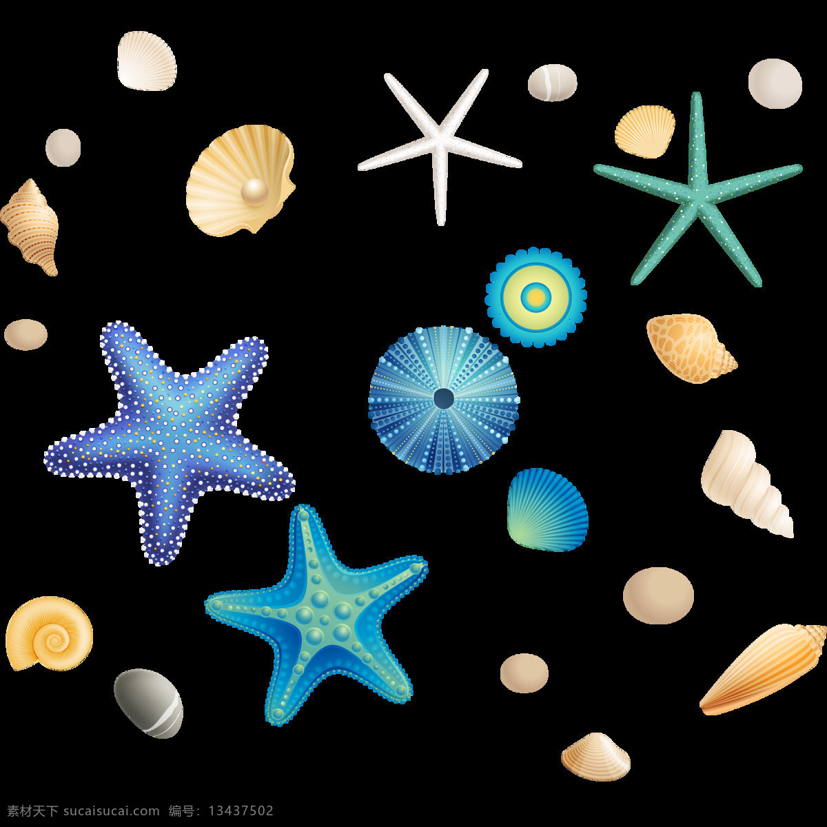 卡通 彩色 海洋 贝壳 元素 png元素 大海 海星 免抠元素 生物 透明素材