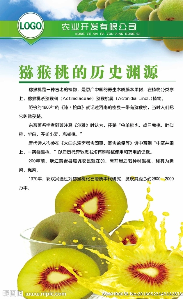 猕猴桃 文化 展板 文化展板 企业 企业文化 文化墙 红心猕猴桃 水果 维c 展板模板