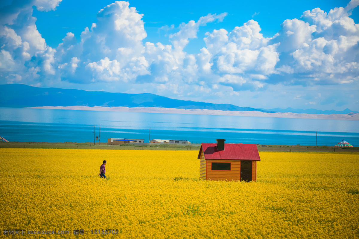 油菜花 青海湖 蓝天白云 湖 青海风光 青海湖风光 青海湖景色 青海之旅 青海湖之旅 建筑园林 建筑摄影