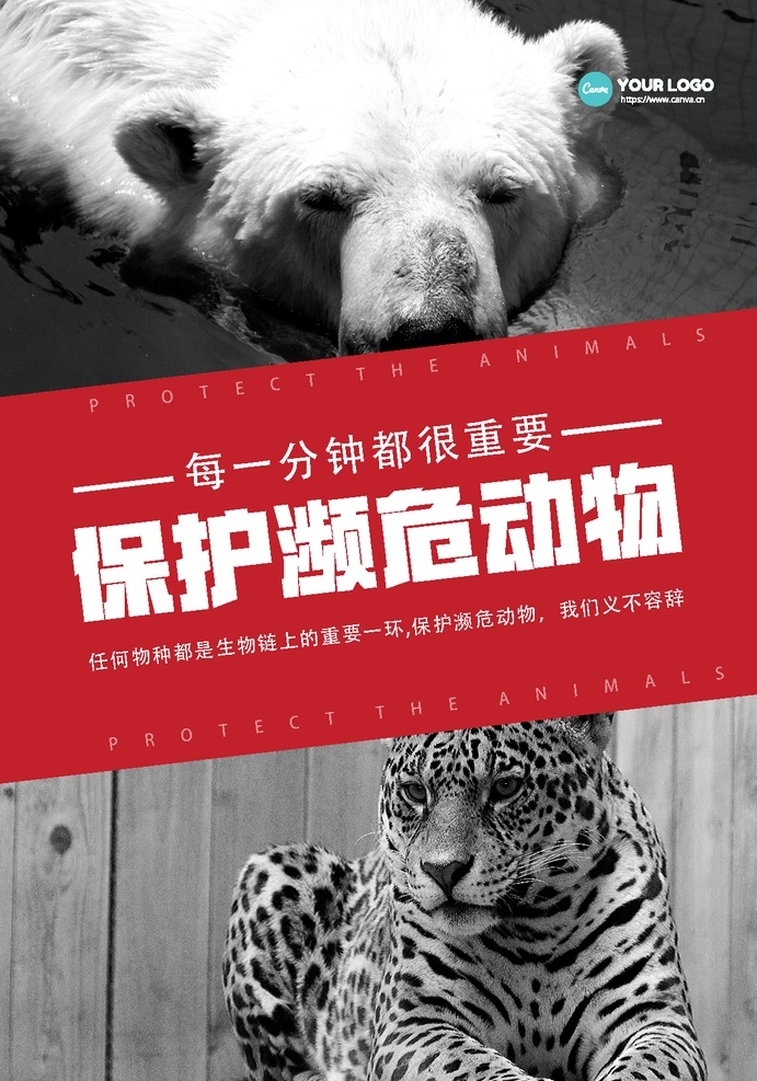 保护野生动物 动物园海报 动物协会 爱护动物 动物 动物园展板 动物园广告 野生动物 动物日 保护生物 自然保护区 关爱野生动物 动物公益 保护动物宣传 野生动物展板 狮子 长颈鹿 大草原 大象 动物剪影 世界动物日 珍惜动物 动物展 海报
